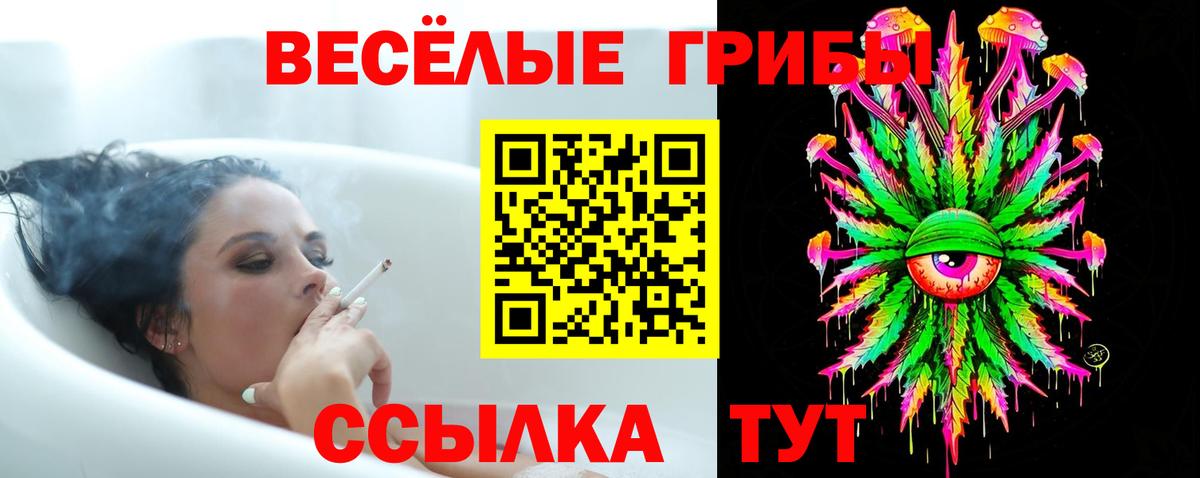 Можайск  Галлюциногенные грибы Psilocybe  Вход с VPN 